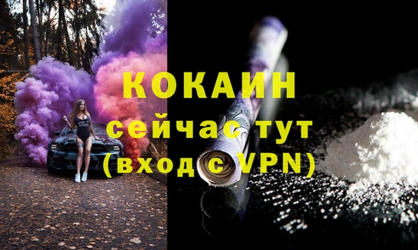 шишки Арсеньев
