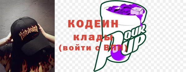 шишки Арсеньев