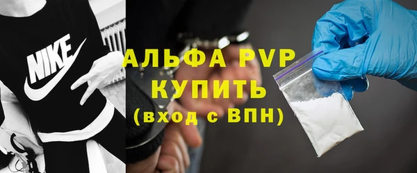 шишки Арсеньев
