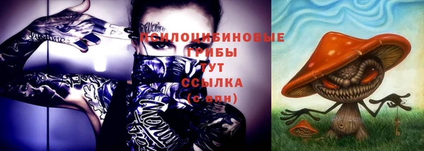 шишки Арсеньев