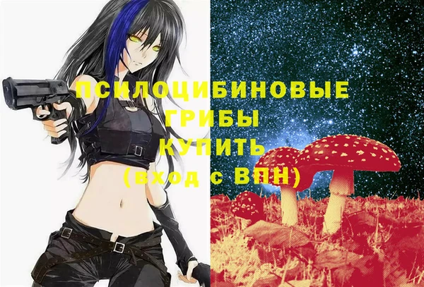 винт Аркадак