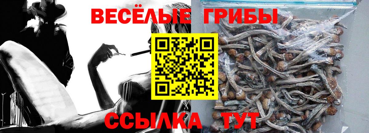 Псилоцибиновые грибы MAGIC MUSHROOMS  Вход с VPN  Новомосковск 
